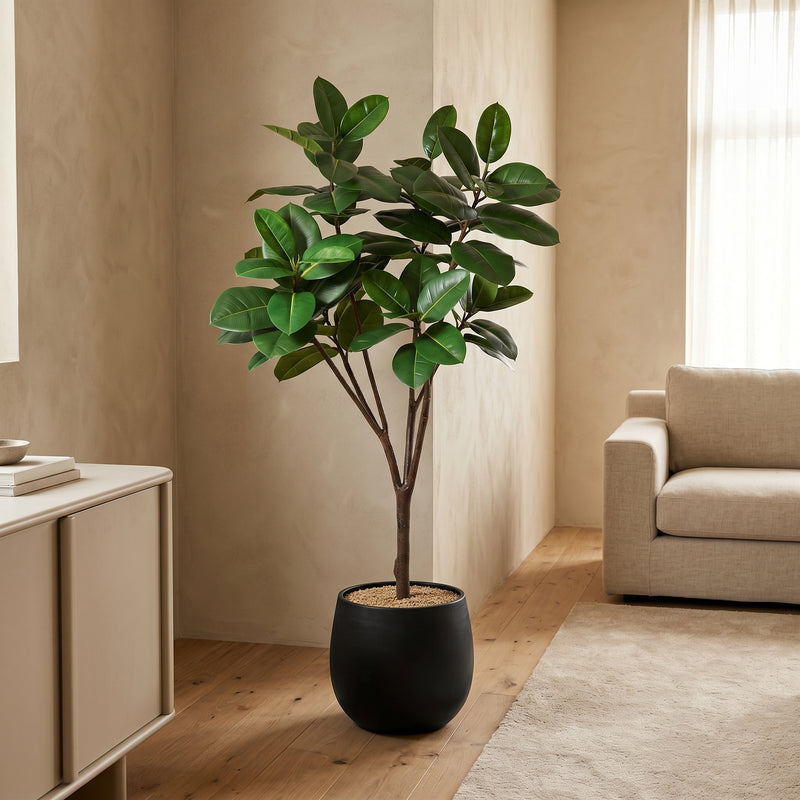 





Pianta artificiale Ficus Elastica Robusta | 170cm - Afbeelding 4

