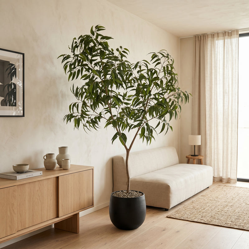 





Pianta artificiale Ficus Alii King | 240cm - Lifestyle foto kunstplant in interieur
