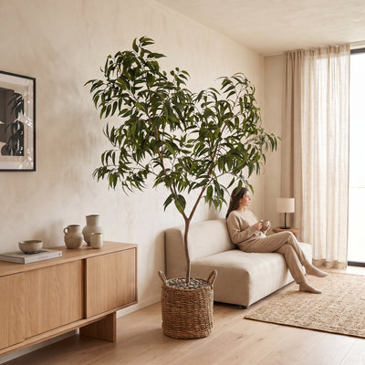 Kunstplant Ficus Alii King | 225cm