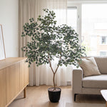 





Kunstpflanze Eukalyptus | 225cm - Lifestyle foto kunstplant in interieur
 thumbnail