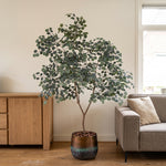 





Kunstpflanze Eukalyptus | 225cm - Afbeelding 5
 thumbnail