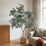 





Kunstpflanze Eukalyptus | 225cm - Afbeelding 4
 thumbnail