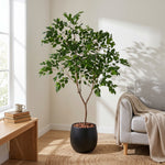 





Kunstpflanze Ficus Benjamina | 225cm - Afbeelding 4
 thumbnail