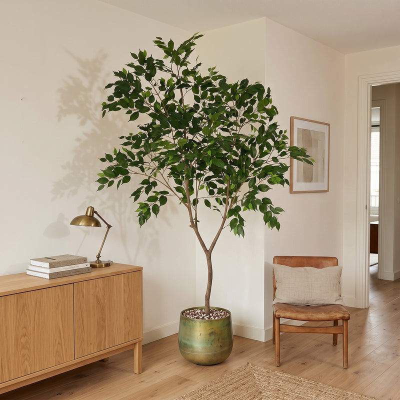 





Kunstpflanze Ficus Benjamina | 225cm - Premium kunstplant van Florafy
