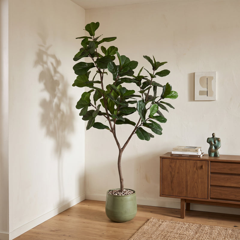 





Künstlicher Ficus Lyrata Baum | 225cm - Lifestyle foto kunstplant in interieur

