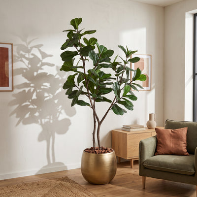 Kunstplant Ficus Lyrata Boom | 225cm