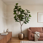 





Künstlicher Ficus Lyrata Baum | 225cm - Premium kunstplant van Florafy
 thumbnail