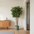 Kunstplant Ficus Benjamina Meerstammig | 180cm