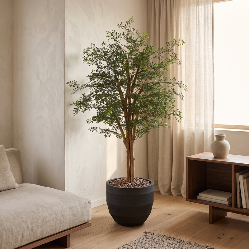 





Kunstig Ficus Cassia | 150cm - Premium kunstplant van Florafy
