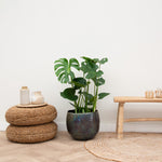 





Pot Ellen vintage green - Lifestyle foto kunstplant in interieur
 thumbnail