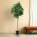 





Kunstplant Magnolia | 187cm - Premium kunstplant van Florafy
 thumbnail