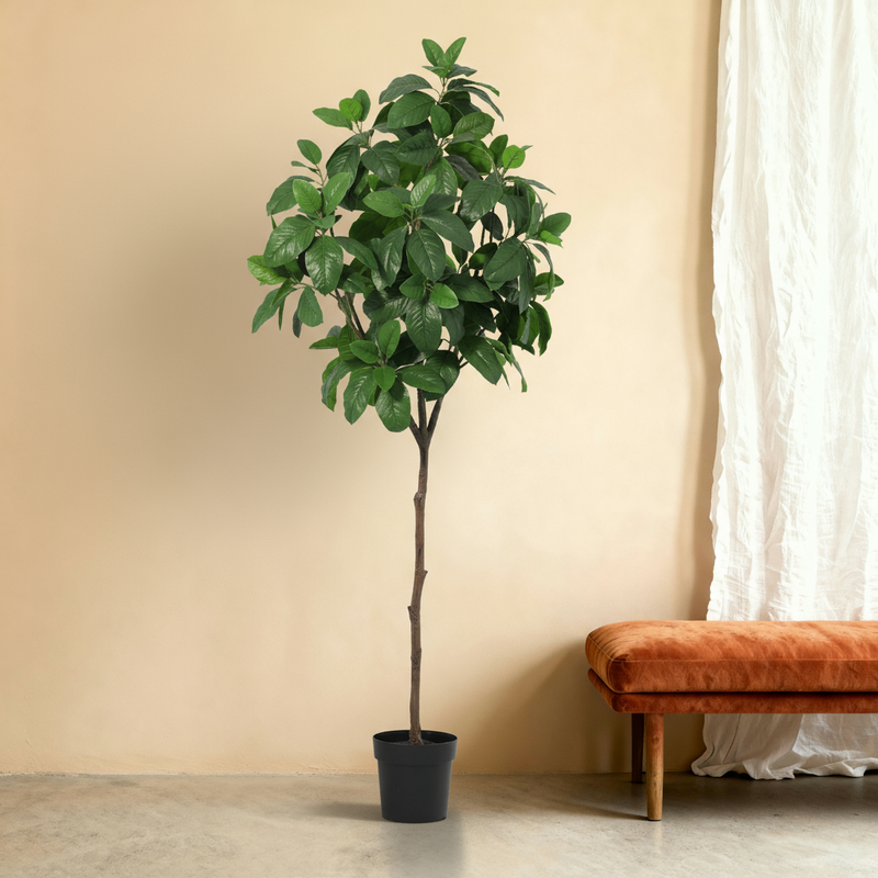 





Kunstplant Magnolia | 187cm - Premium kunstplant van Florafy

