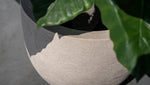 





Pot Terreno new egg sand - Afbeelding 5
 thumbnail