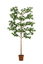 





Kunstplant Bucida | 180cm - Lifestyle foto kunstplant in interieur
 thumbnail