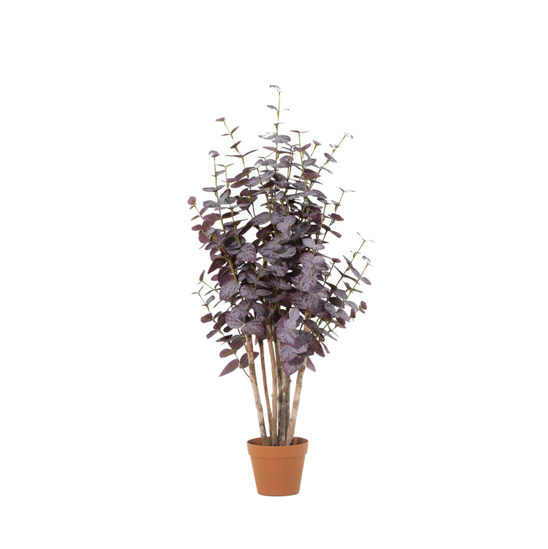 





Planta Artificial Eucalipto Morado | 100cm - Premium kunstplant van Florafy
