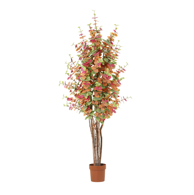 





Künstlicher Eukalyptus mehrfarbig | 200cm - Premium kunstplant van Florafy
