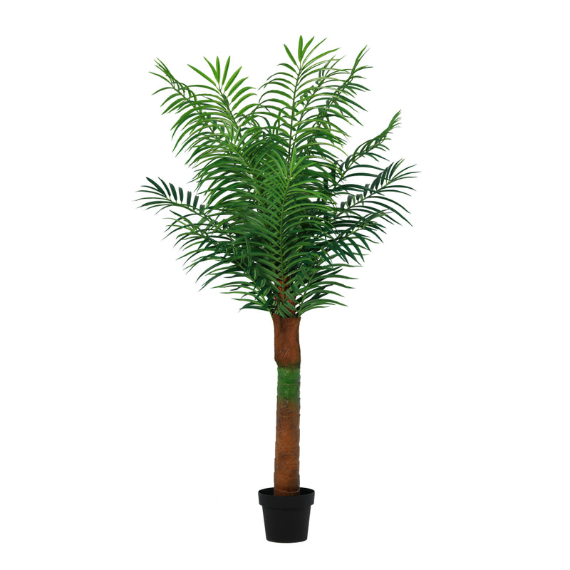 





Pianta Artificiale Palma | 180cm - Premium kunstplant van Florafy
