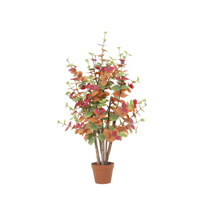 





Künstlicher Eukalyptus mehrfarbig | 100cm - Premium kunstplant van Florafy
