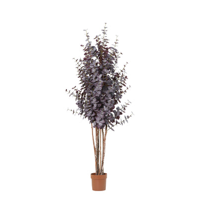 Pianta artificiale Eucalyptus viola | 200cm