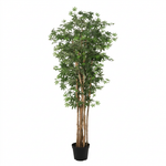





Plante Artificielle Japanse Esdoorn | 180cm - Afbeelding 5
 thumbnail