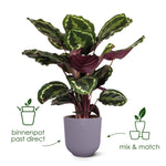 





Pot Elho Jazz Round tuscan red - Lifestyle foto kunstplant in interieur
 thumbnail