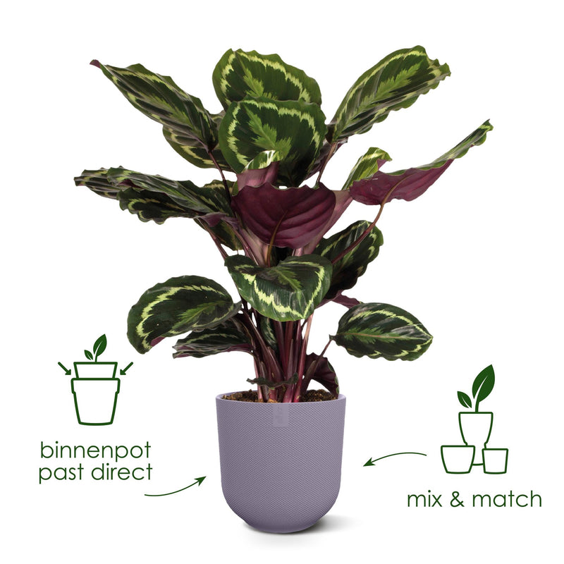 





Pot Elho Jazz Round tuscan red - Lifestyle foto kunstplant in interieur
