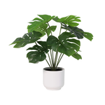 





Plante Artificielle Monstera Deliciosa avec Pot Décoratif - Afbeelding 4
 thumbnail