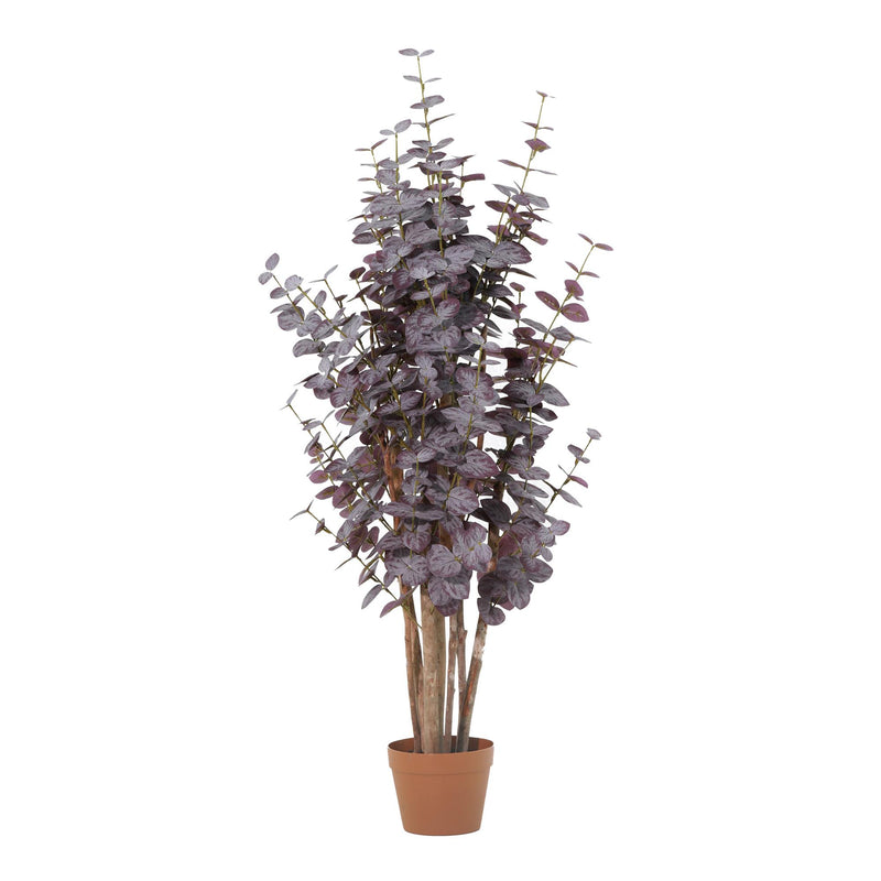 





Kunstpflanze Eucalyptus Paars | 120cm - Afbeelding 5
