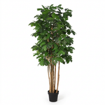 





Sztuczne drzewo Dąb | 170cm - Afbeelding 7
 thumbnail