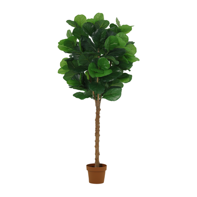 Kunstplant Ficus Lyrata | 160cm