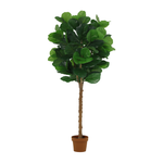





Planta Artificial Ficus Lyrata | 160cm - Afbeelding 7
 thumbnail