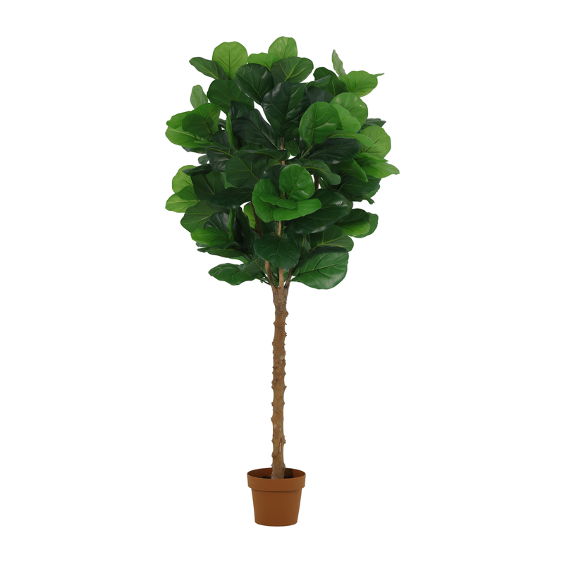 





Planta Artificial Ficus Lyrata | 160cm - Afbeelding 7
