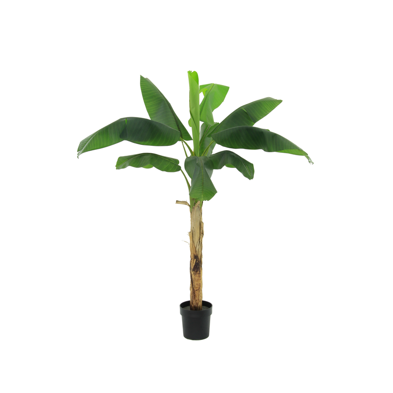 





Umelá rastlina Banánovník | 180cm - Afbeelding 7
