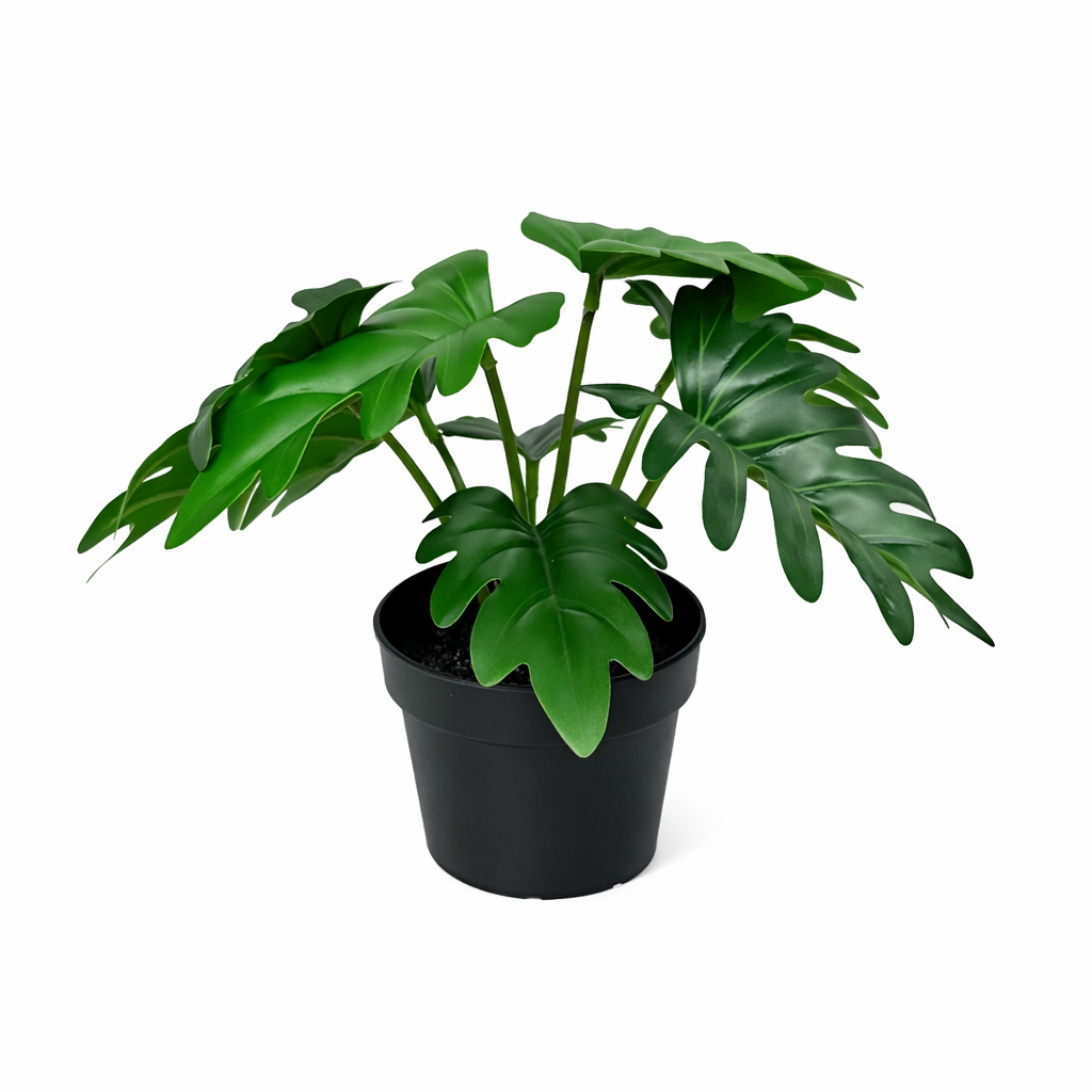 philodendron xanadu png Artificial Philodendron Xanadu | 20cm | Artificial philodendron