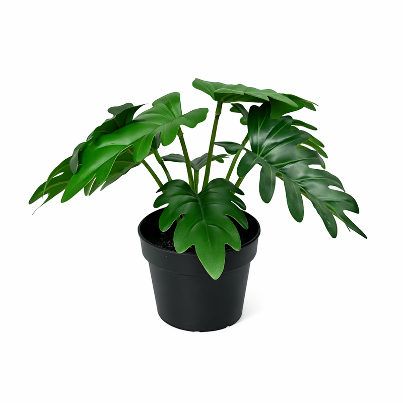 





Artificial Philodendron Xanadu Plant - Afbeelding 7

