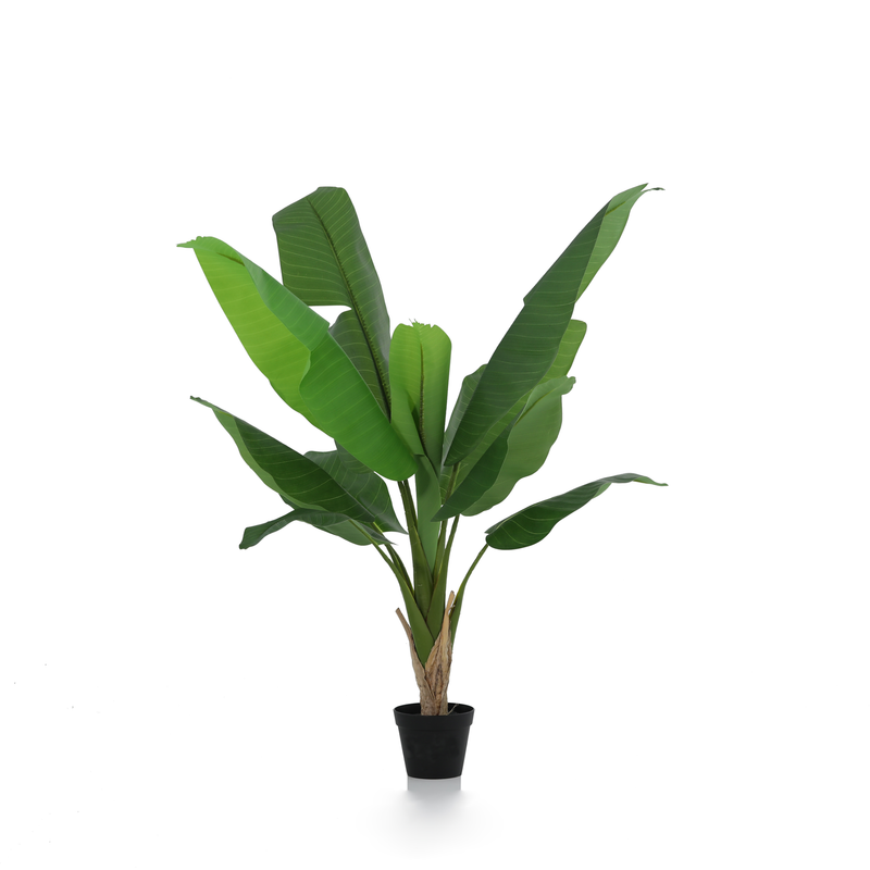





Kunstpflanze Bananenpflanze | 120cm - Afbeelding 7
