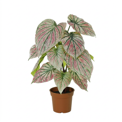 Kunstplant Caladium Groen Roze | 57cm