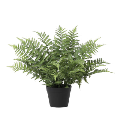Umelá rastlina kapraďa Nephrolepis | 59cm