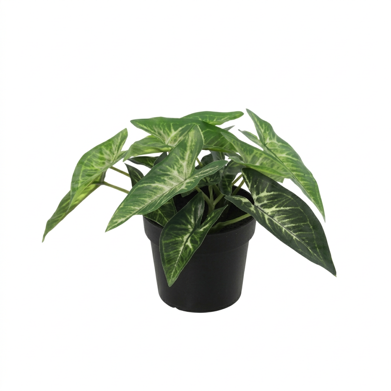 





Sztuczna Roślina Syngonium - Afbeelding 6
