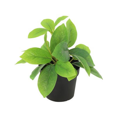 Sztuczna roślina Hoya zielona | 20cm