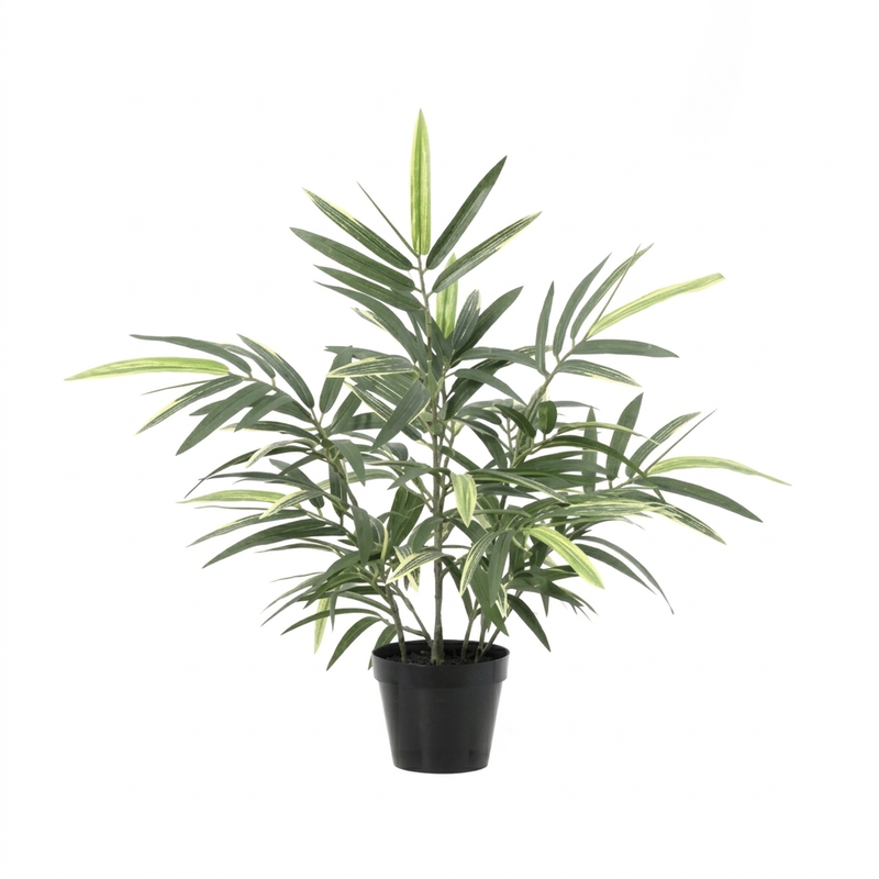 





Sztuczna roślina Bambus | 57cm - Afbeelding 6
