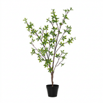 





Sztuczna Roślina Mirt - Afbeelding 6
 thumbnail