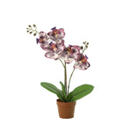 





Orchideen-Strauß | Kunstblumen-Mix - Afbeelding 8
 thumbnail