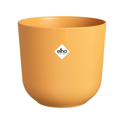 Vaso Elho Jazz Round giallo ambra