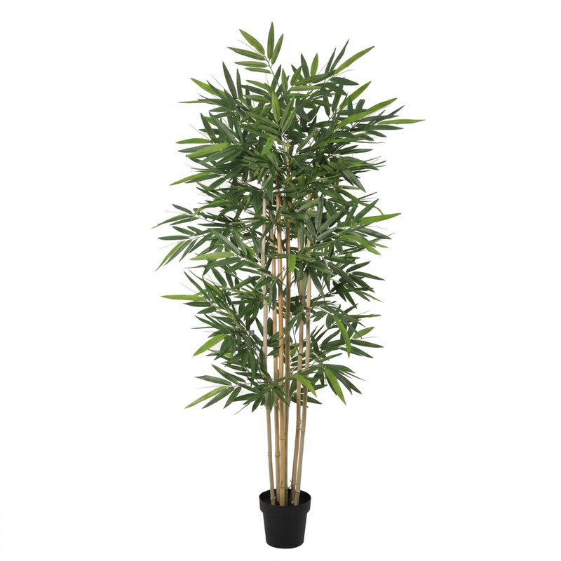 





Plante Artificielle Bambou | 200cm - Afbeelding 6
