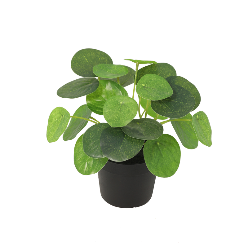 





Verrassingsbox | 12 mini kunstplanten - Afbeelding 13
