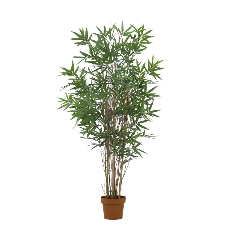 





Kunstpflanze Bambus | 144cm - Afbeelding 5
