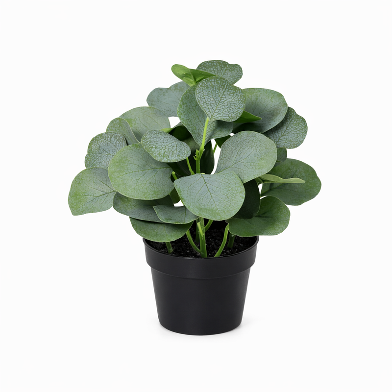





Verrassingsbox | 12 mini kunstplanten - Afbeelding 12
