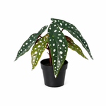





Verrassingsbox | 12 mini kunstplanten - Lifestyle foto kunstplant in interieur
 thumbnail