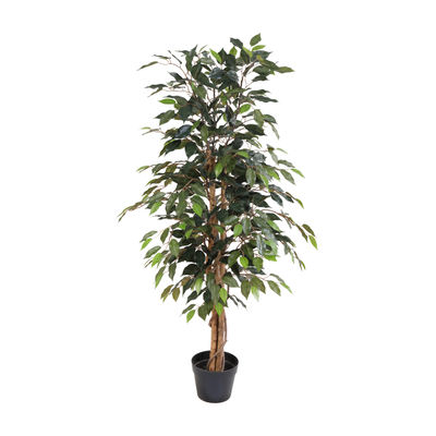 Kunstplant Ficus Benjamina | 130cm